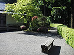 IMGP1234.jpg