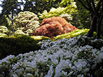 IMGP1237.jpg