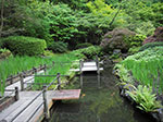 IMGP1244.jpg
