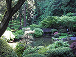 IMGP1250.jpg