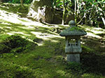 IMGP1260.jpg