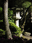 IMGP1290.jpg