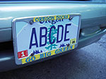 IMGP1295.jpg