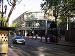 IMGP1305.jpg