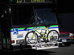 IMGP1315.jpg