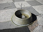 IMGP1345.jpg