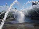 IMGP1454.jpg