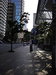 IMGP1481.jpg