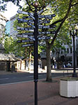 IMGP1558.jpg