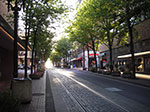 IMGP1568.jpg