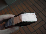 IMGP1573.jpg