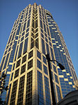 IMGP1667.jpg