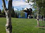 IMGP2006.jpg