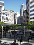 IMGP2068.jpg