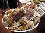 IMGP2126.jpg