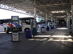 IMGP2177.jpg
