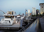 IMGP2204.jpg