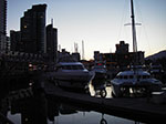 IMGP2228.jpg