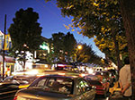 IMGP2248.jpg
