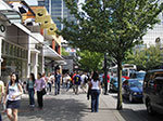 IMGP2284.jpg
