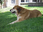 IMGP2321.jpg
