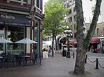 IMGP2411.jpg