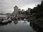 IMGP2512.jpg