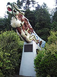IMGP2626.jpg