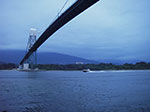 IMGP2649.jpg