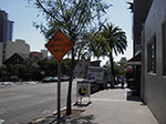 IMGP2770.jpg