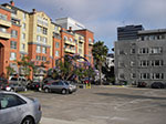 IMGP2804.jpg