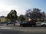 IMGP2809.jpg