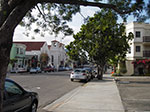 IMGP2811.jpg
