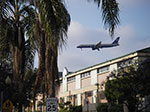 IMGP2815.jpg