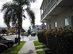 IMGP2817.jpg