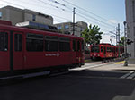 IMGP2837.jpg
