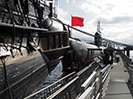 IMGP2864.jpg