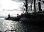 IMGP2978.jpg