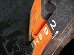 IMGP2982.jpg