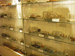 IMGP2989.jpg