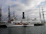 IMGP3008.jpg