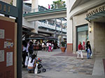 IMGP3082.jpg