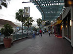 IMGP3091.jpg