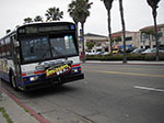 IMGP3111.jpg