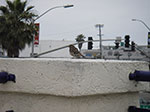 IMGP3123.jpg