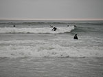IMGP3351.jpg