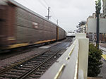 IMGP3367.jpg