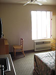 IMGP3391.jpg