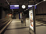 IMGP3441.jpg