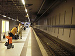 IMGP3442.jpg